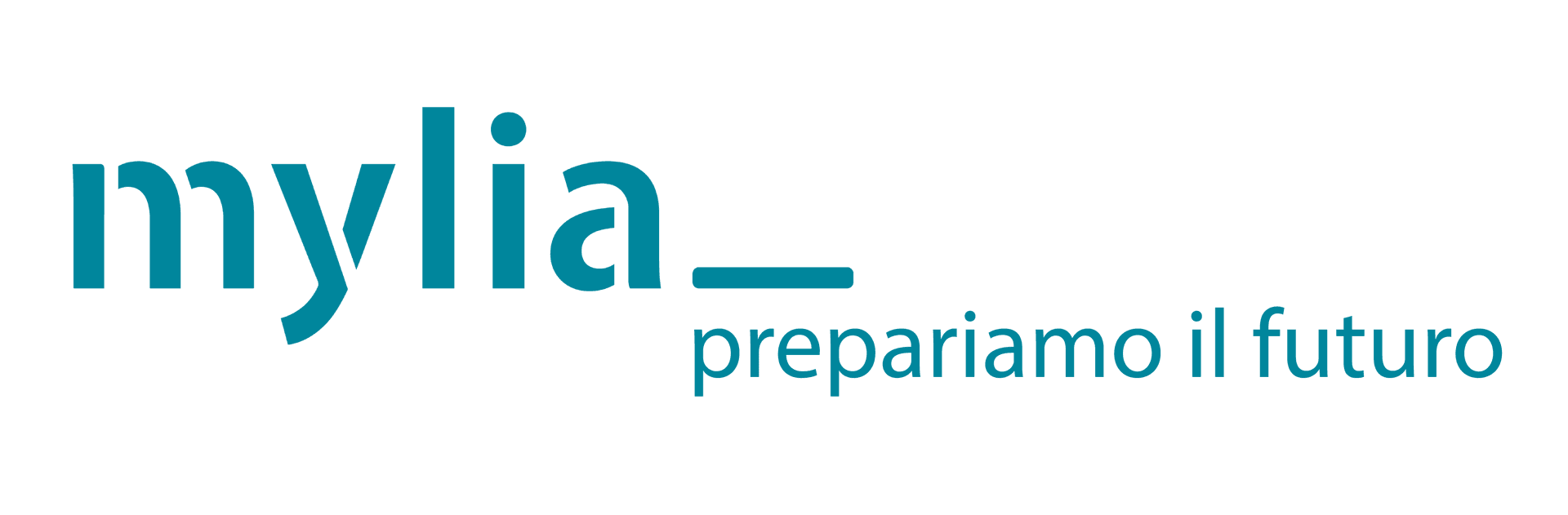 Partner 31