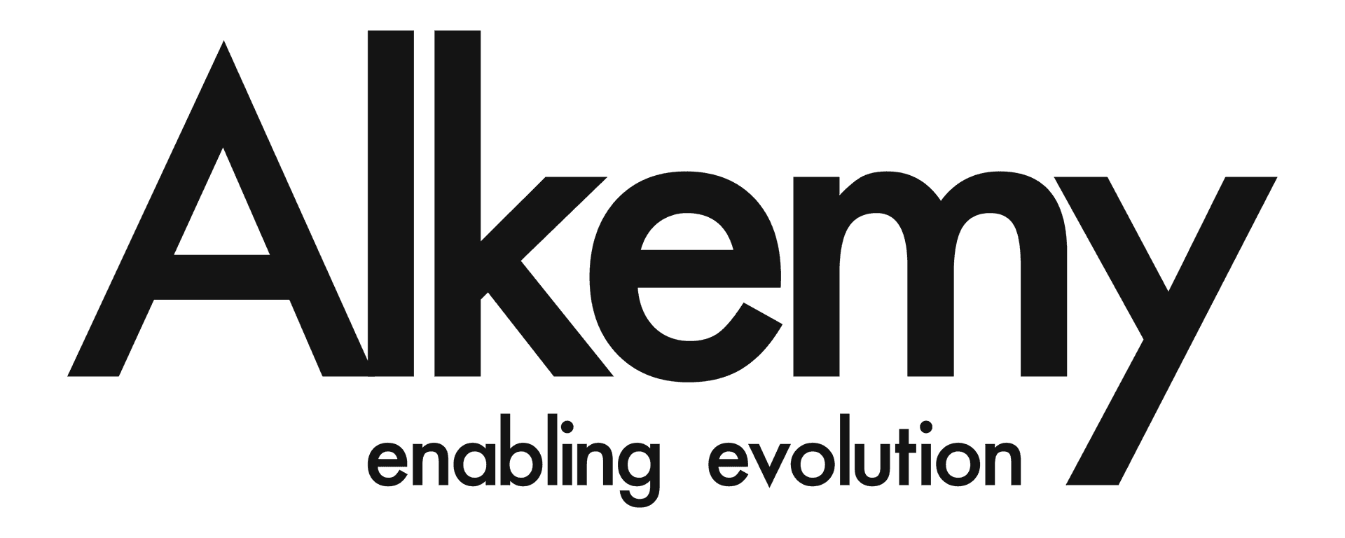 Partner 11